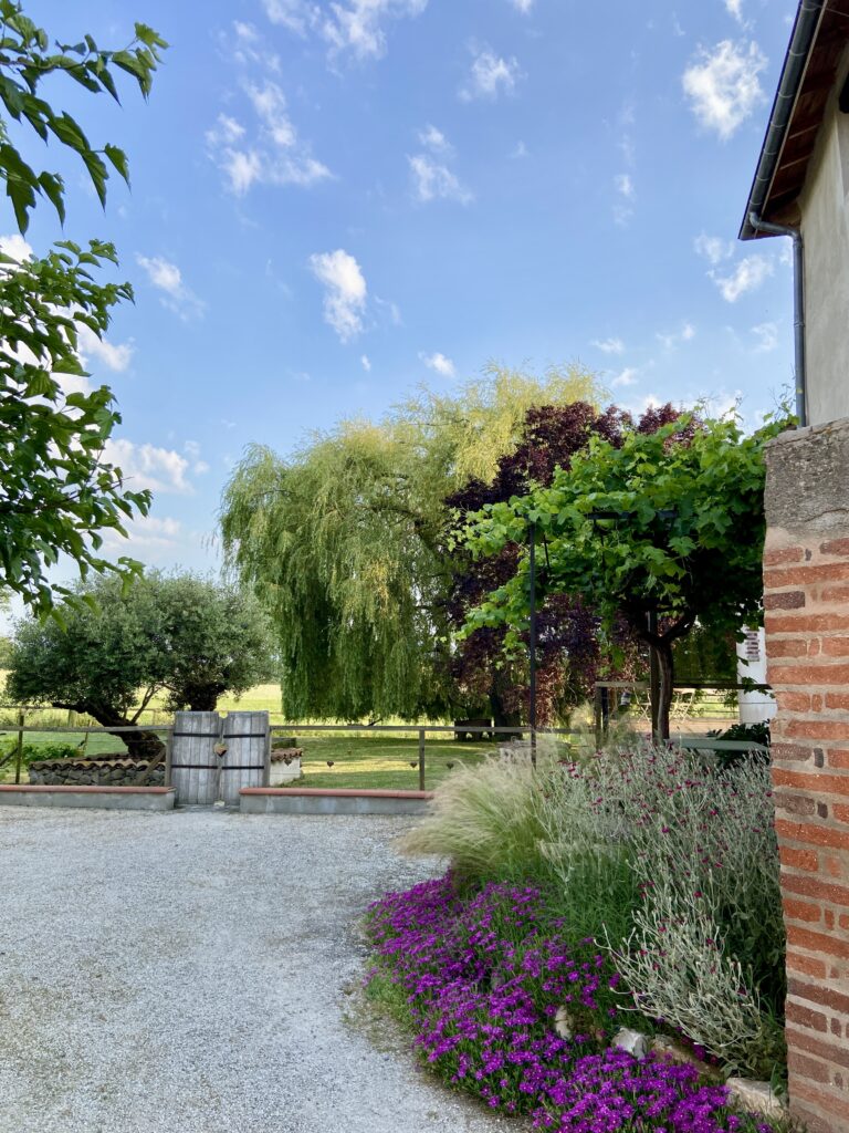 espace extérieur fleuri du gite pour séjours bien-être